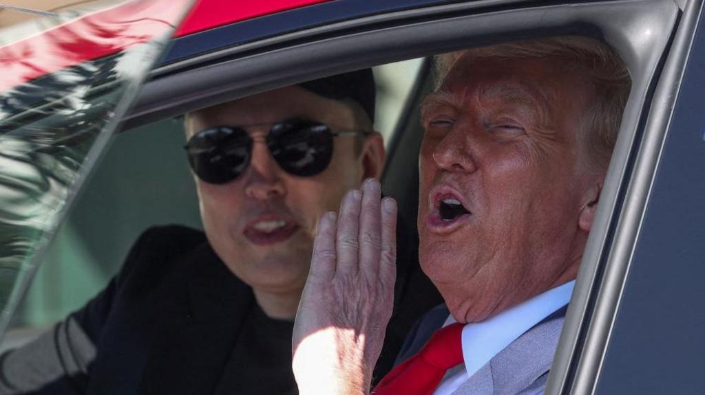 Trump Vs Musk