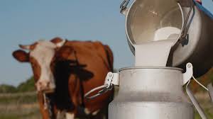 lait
